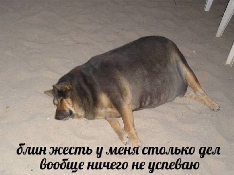 “as блин жесть у ‚меня столько дел ничего не успеваю