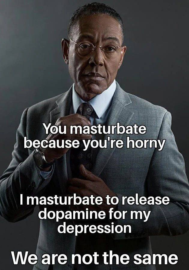 You masturbate because you're horny masturbate to release dopamine for my depression We are not the same