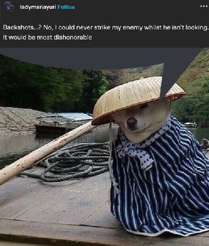 ladymariayuri Follow Backshots...? No, could never strike my enemy whilst he isn't looking It would be most dishonorable