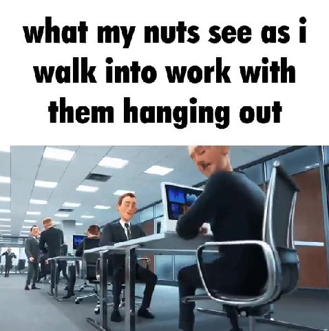 what my nuts see as I walk into work with them hanging out