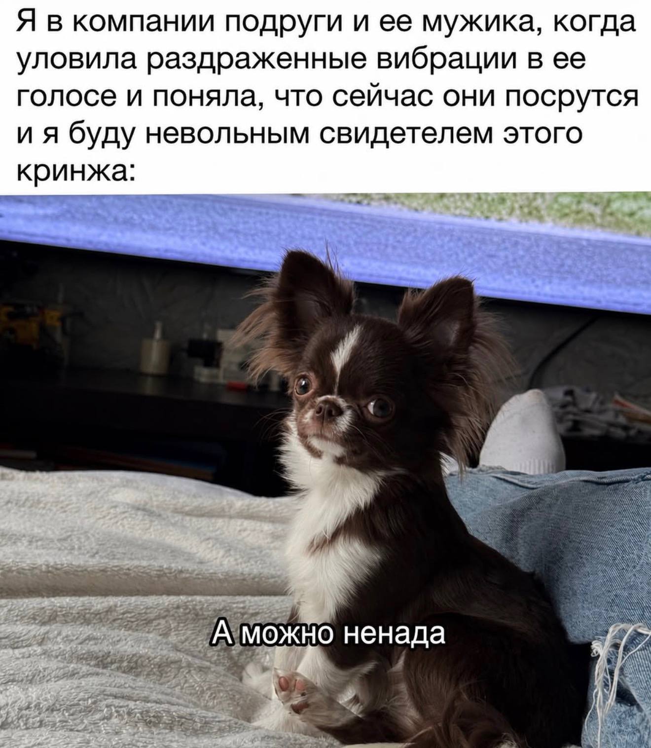 Я в компании подруги и ее мужика, когда уловила раздраженные вибрации в ее голосе и поняла, что сейчас они посрутся буду невольным свидетелем этого кринжа: А можно ненада
