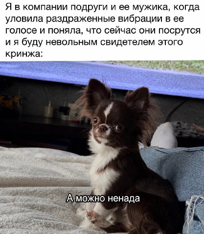 Я в компании подруги и ее мужика, когда уловила раздраженные вибрации в ее голосе и поняла, что сейчас они посрутся буду невольным свидетелем этого кринжа: А можно ненада