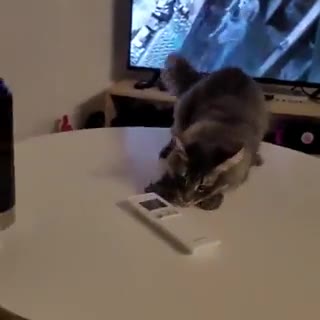 хоба