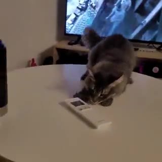 хоба