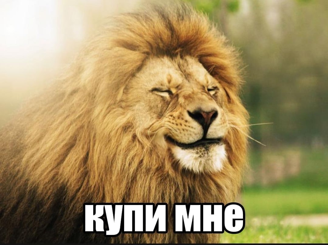 he купи мне a