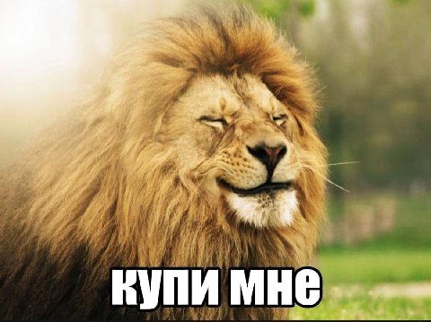 he купи мне a