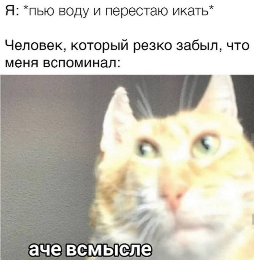 Я: *пью воду и перестаю икать* Человек, который резко забыл, что меня вспоминал: ачевсмысле