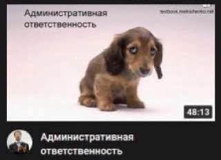 Административная ответственность Административная ответственность