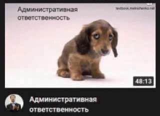 Административная ответственность Административная ответственность