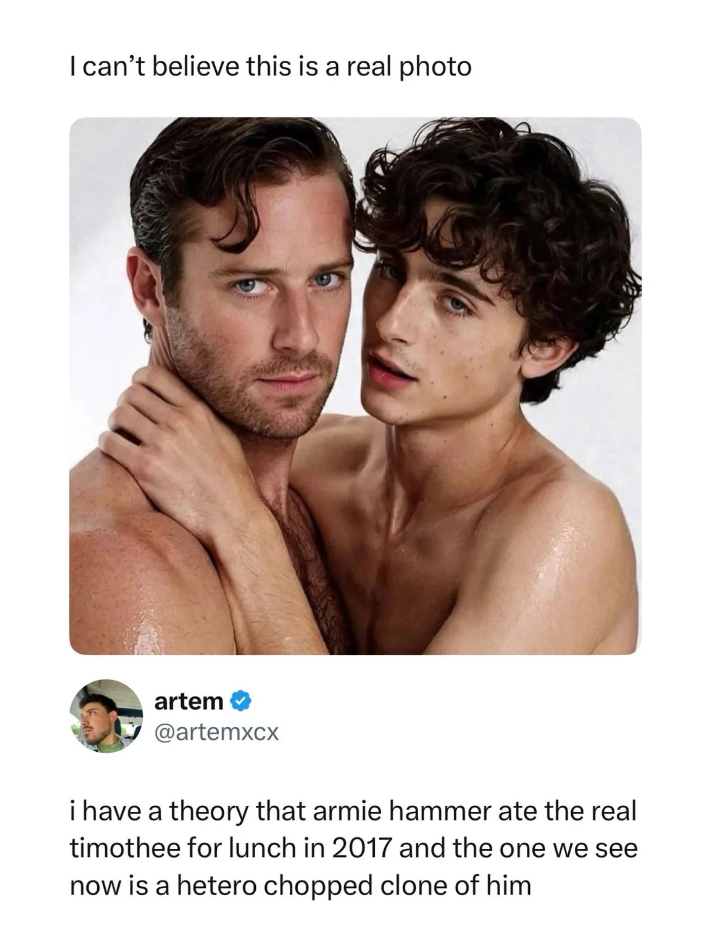 can’t believe this is a real photo в. у 7 4 artem a theory that armie hammer ate the real timothee for lunch in 2017 and the one we see now is a hetero chopped clone of him