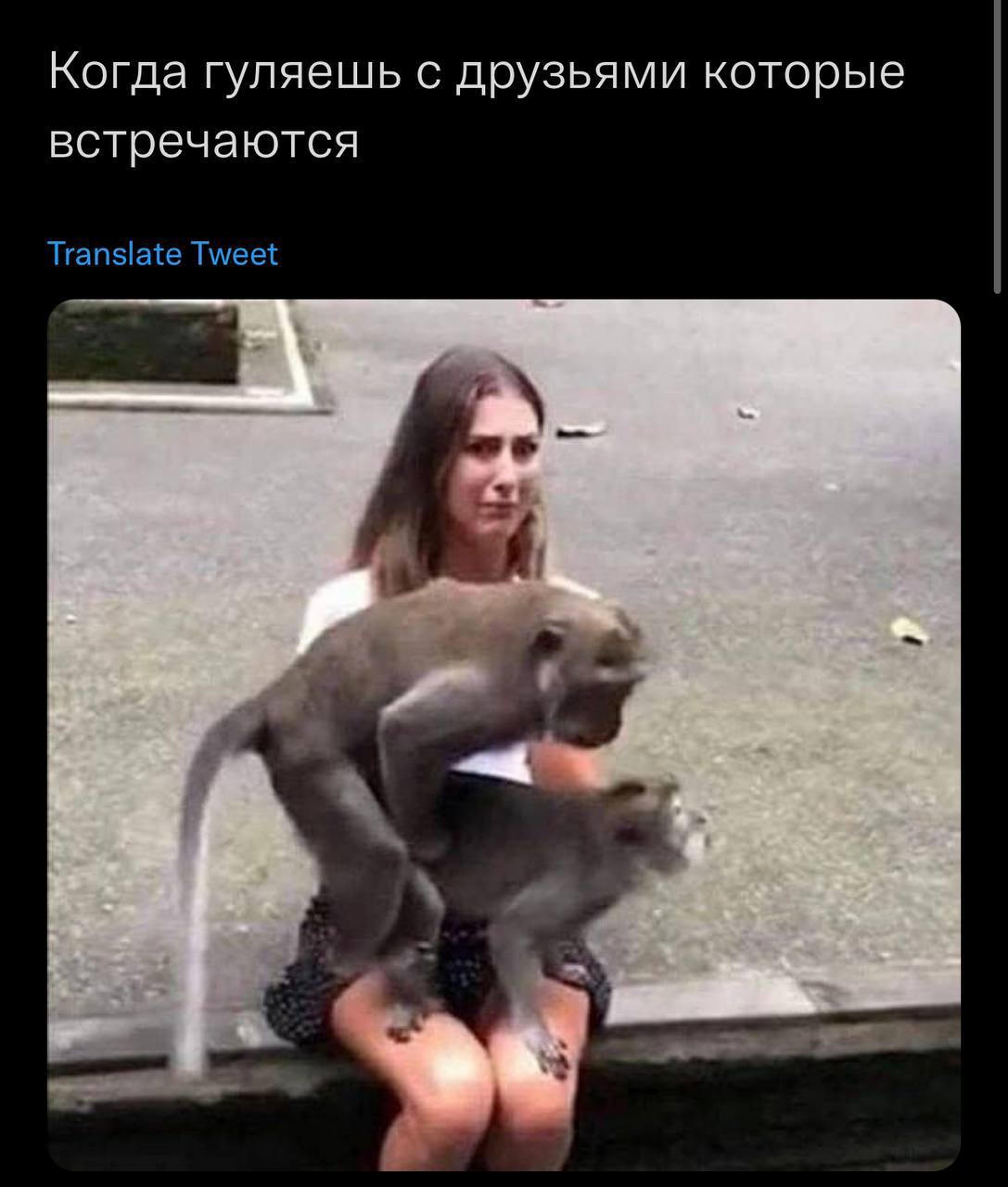 Когда гуляешь с друзьями которые встречаются Translate Tweet