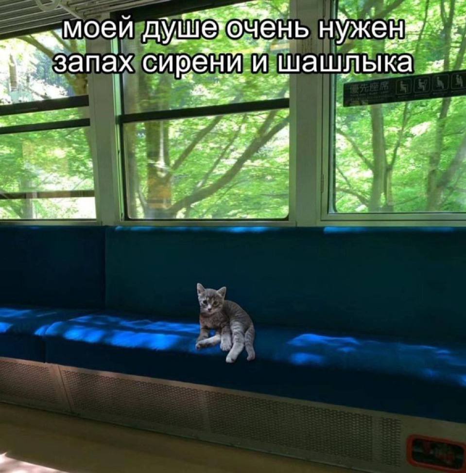 моеи нужен пах и шашлыка