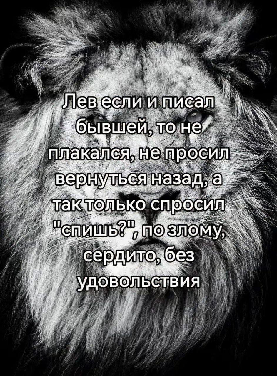 и А AN He калея оси назад, ЛЬКО СПРОС и и рдито без 4 удовол bCTBUA