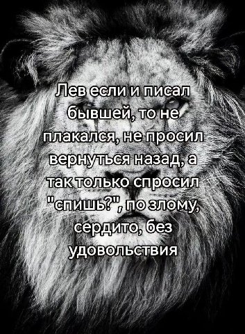 и А AN He калея оси назад, ЛЬКО СПРОС и и рдито без 4 удовол bCTBUA