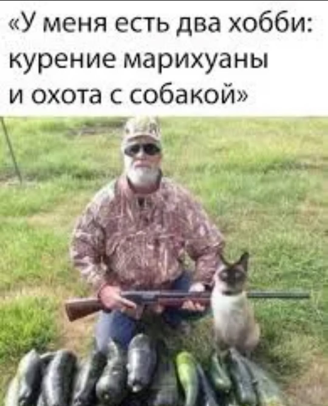 «У меня есть два хобби: курение марихуаны и охота с собакой» 21
