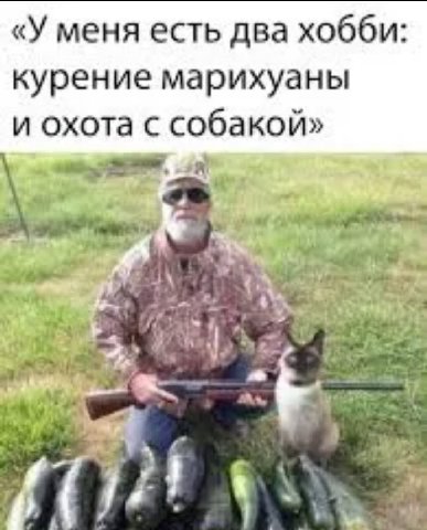 «У меня есть два хобби: курение марихуаны и охота с собакой» 21