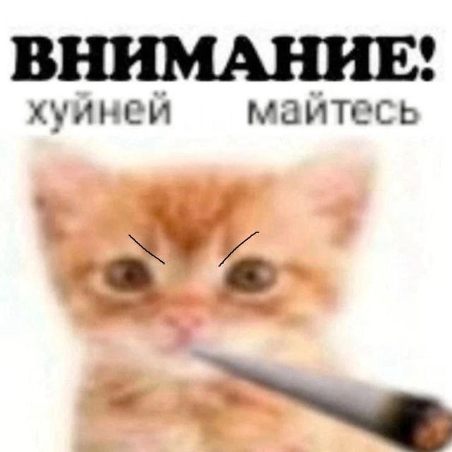 ВНИМАНИЕ: хуйней маитесь