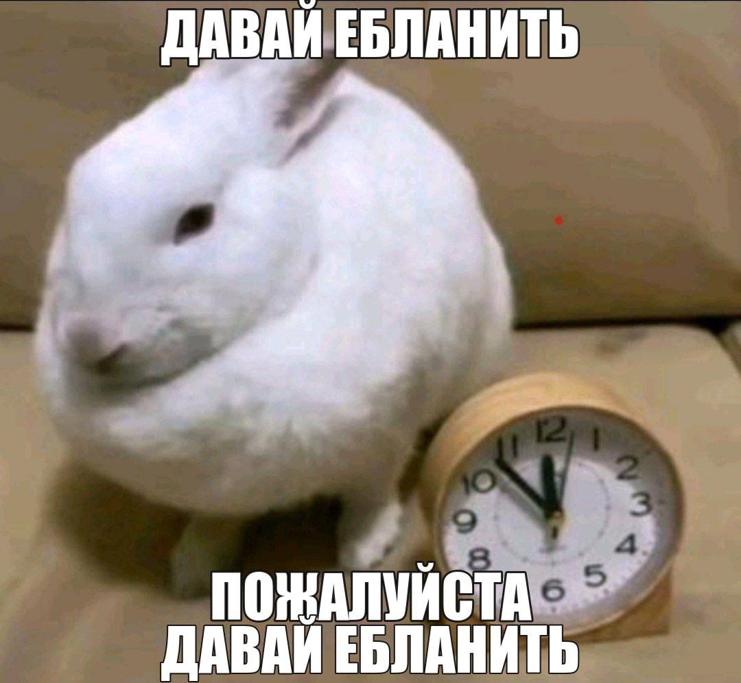 ДАВАЙ ЕБЛАНИТЬ ПОЖАЛУЙСТА ДАВАИ ЕБЛАНИТЬ