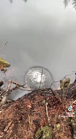 сексуально