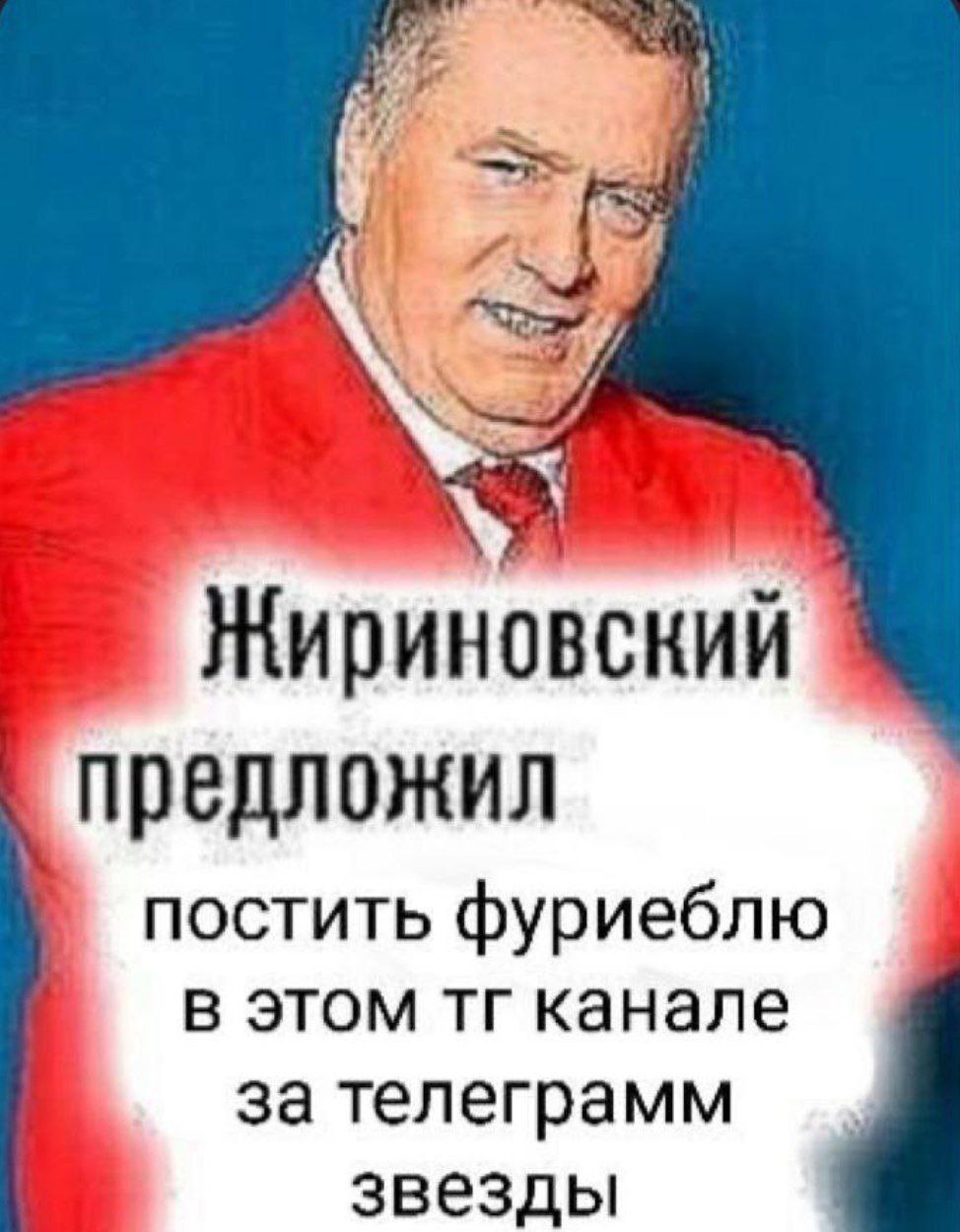 Жириновский предложил постить фуриеблю в этом канале за телеграмм звезды