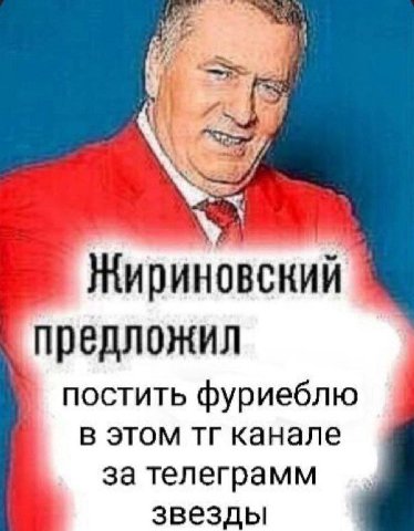 Жириновский предложил постить фуриеблю в этом канале за телеграмм звезды