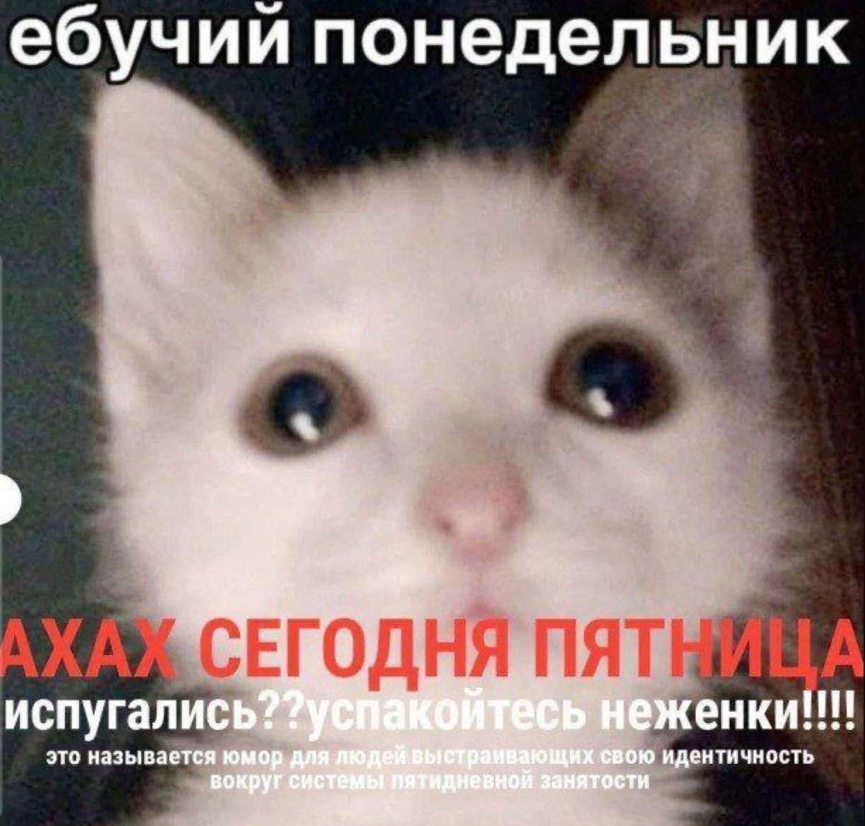 ебучии понедельник испугались? это называется юмор свою идентичность вокруг