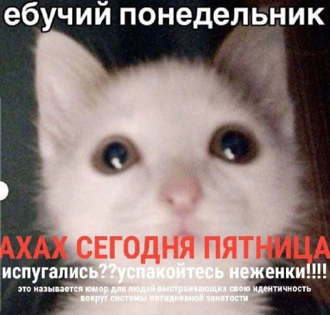 ебучии понедельник испугались? это называется юмор свою идентичность вокруг