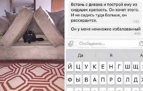 Встань с дивана и построй ему из сидушек крепость. Он хочет этого. И не садись туда больше, он рассердится. 11:51 Он уменя немножко избалованный 11:51 Сообщение... Да Я А <2