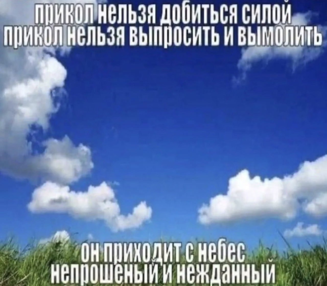прикол нельзя добиться силои. ПРИКОЛ НЕЛЬЗЯ ВЫПРОСИТЬ ИВЫМОЛИТЬ он небес и