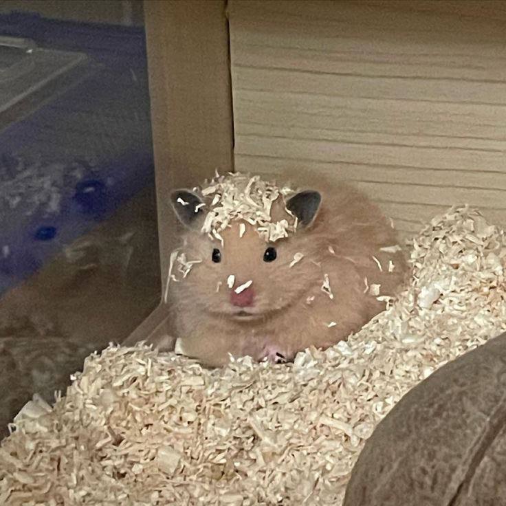 А a