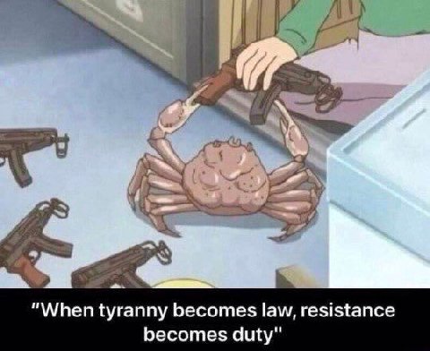 “When tyranny becomes law, resistance becomes duty"