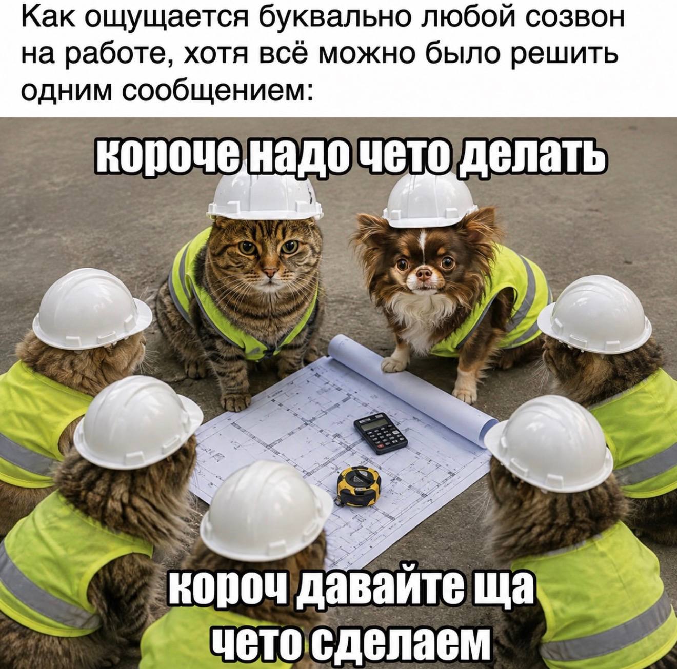 Как ощущается буквально любой созвон на работе, хотя всё можно было решить одним сообщением: чето nou