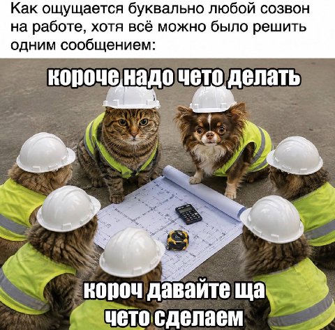 Как ощущается буквально любой созвон на работе, хотя всё можно было решить одним сообщением: чето nou