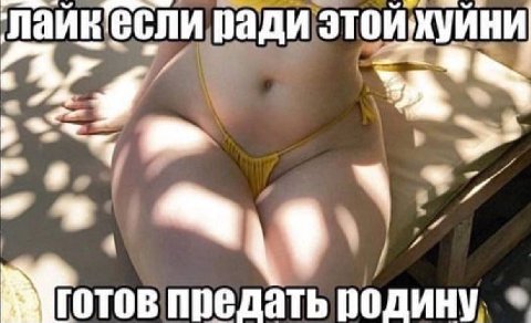ради 9 предать родину