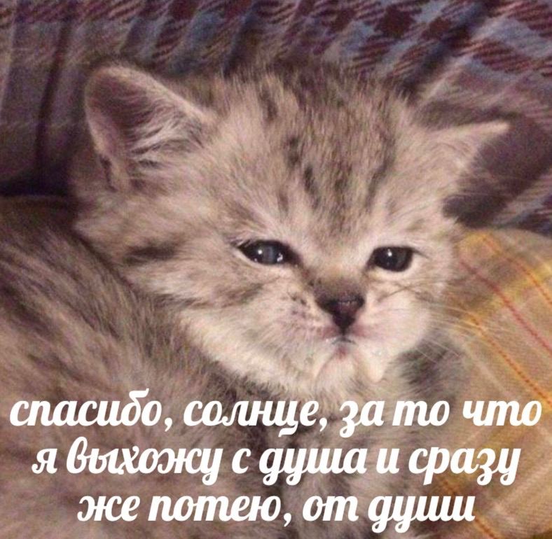 спасидо, солнце, за то что я с душа и сразу же потею, от дциш