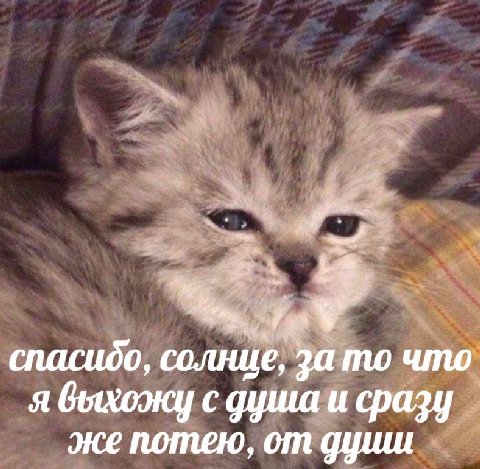 спасидо, солнце, за то что я с душа и сразу же потею, от дциш