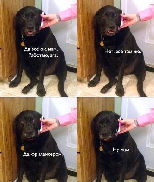 Да мам. Нет, всё там же. Работаю, ага. Ну мам... Да, фрилансером.