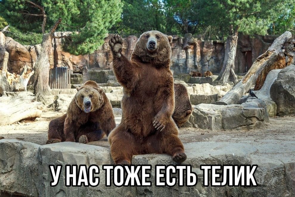 i и 4 HAC ТОЖЕ ЕСТЬ ТЕЛИК
