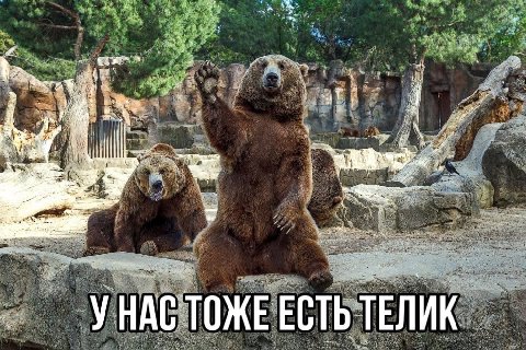 i и 4 HAC ТОЖЕ ЕСТЬ ТЕЛИК