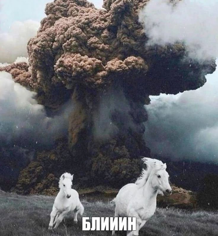 БЛИИИ