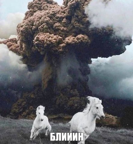 БЛИИИ