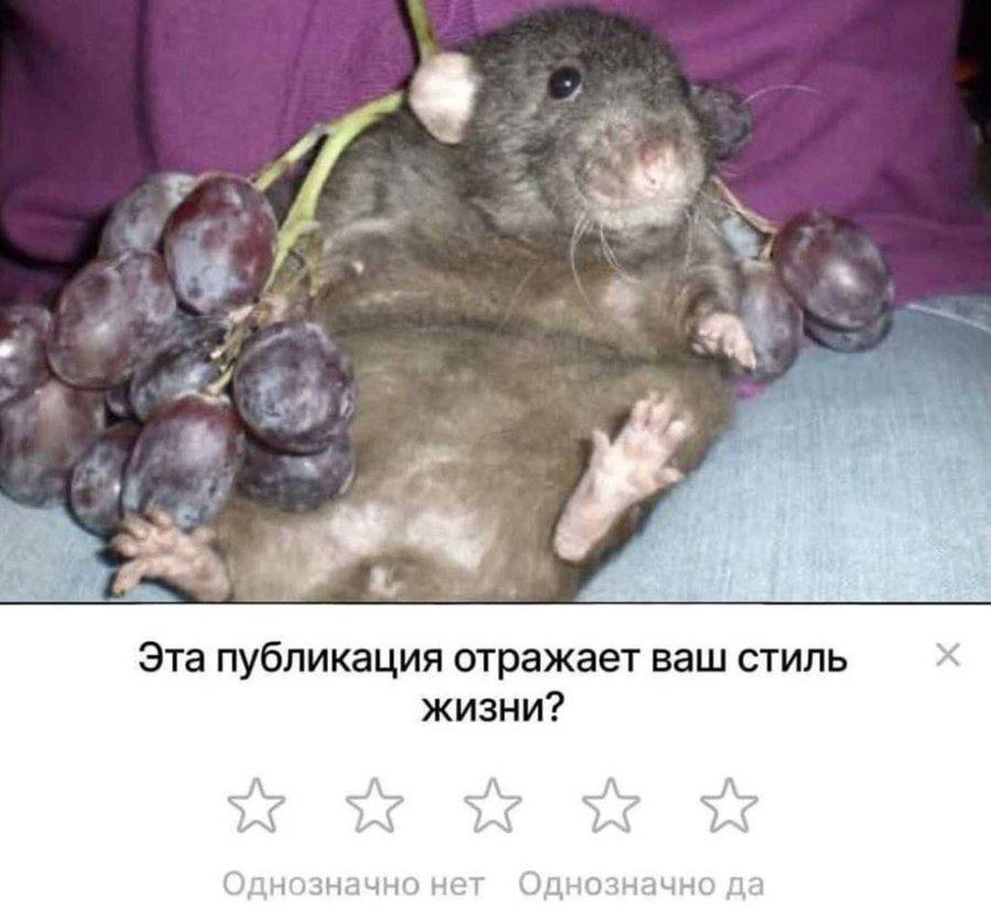 4 5 he A) Эта публикация отражает ваш стиль жизни? нет однозначно да