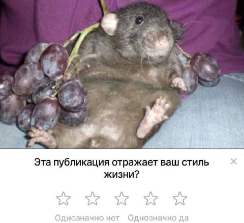 4 5 he A) Эта публикация отражает ваш стиль жизни? нет однозначно да