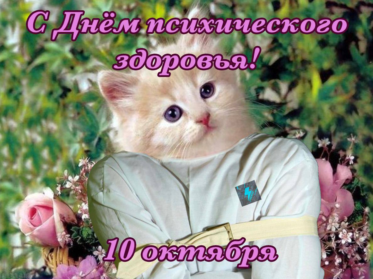 4 и,