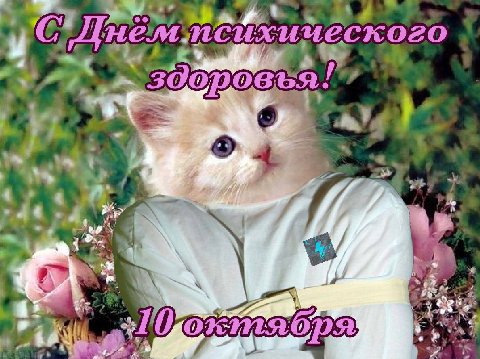 4 и,