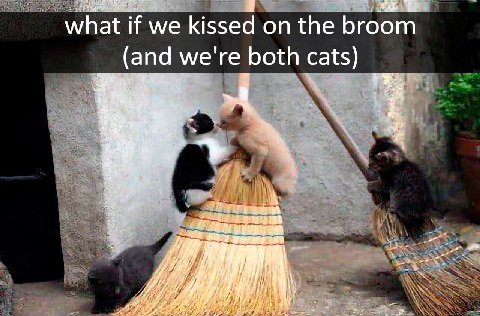 what if we kissed on the broom 1 (and we're both cats)