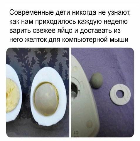 Современные дети никогда не узнают, как нам приходилось каждую неделю варить свежее яйцо и доставать из него желток для компьютерной МЫШИ