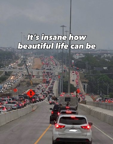 It’s insane how beautiful life can be