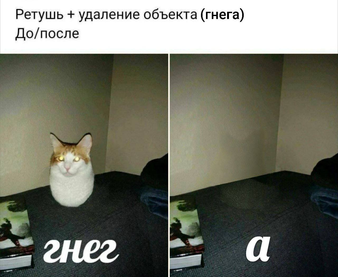 Ретушь удаление объекта (гнега) До/после