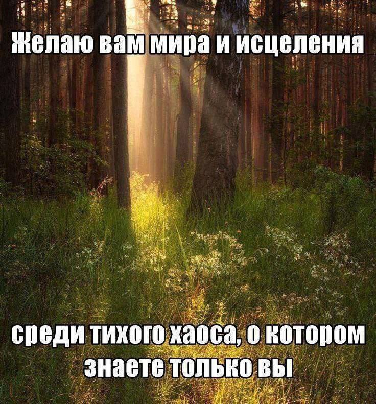вам мира и исцеления среди тихого хаоса, о котором знаете только вы